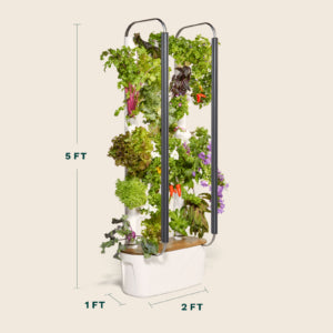 Most Innovative Indoor Gardening System