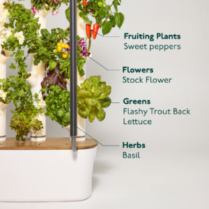 Most Innovative Indoor Gardening System