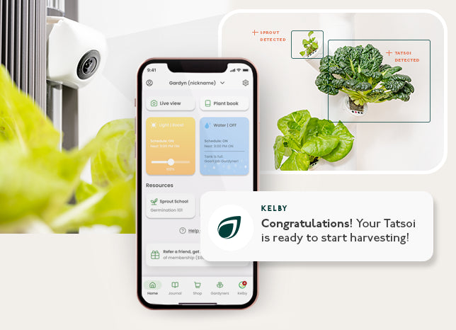 Most Innovative Indoor Gardening System