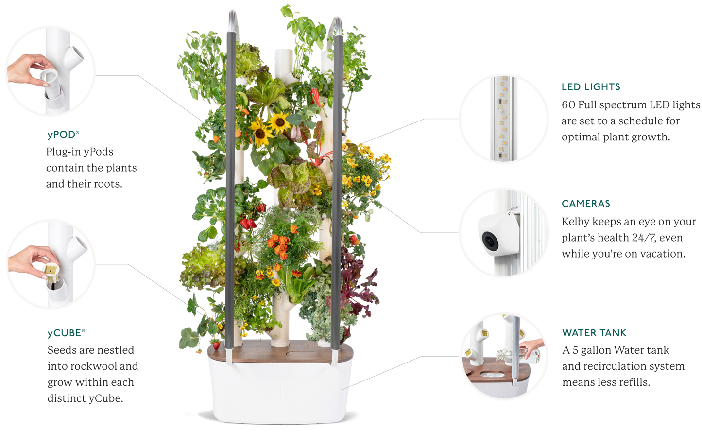 Most Innovative Indoor Gardening System