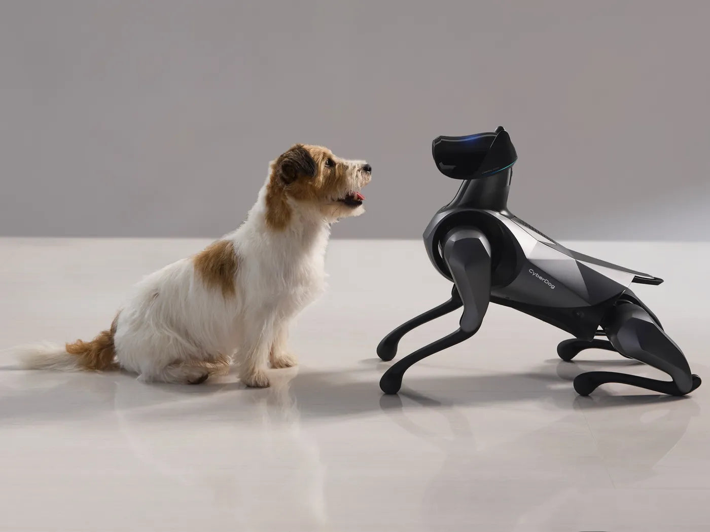 Xiaomi Cyber Dog 2 AI-Driven Agile Robot Companion