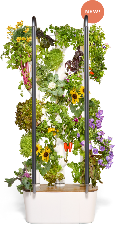 Most Innovative Indoor Gardening System